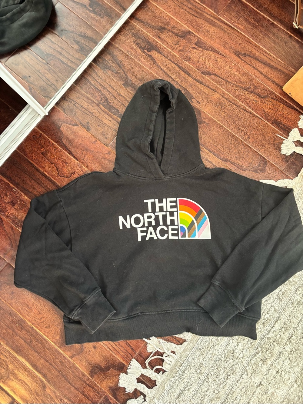The North Face Cropped Black Hoodie with Rainbow Logo